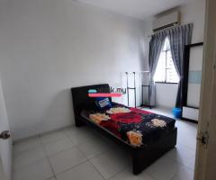 Single Room (Medium)