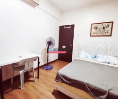 Cosy, Convenient and Spacious Queen Bed Room for Rent in Petaling Jaya